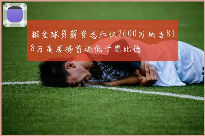 掘金球员薪资总和仅2600万纳吉818万高居榜首远低于恩比德