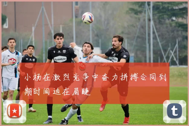小杨在激烈竞争中奋力拼搏合同到期时间迫在眉睫