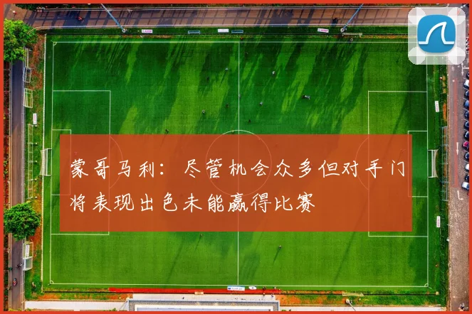 蒙哥马利：尽管机会众多但对手门将表现出色未能赢得比赛